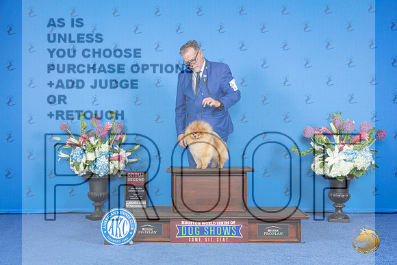 Pomeranian #15 FRI G2 Judge Sandra Lex__JP_9574_Houston_2024_HR3