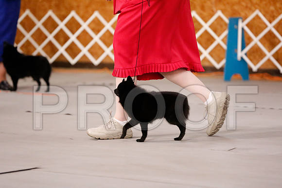 _RH_8691-CarlrolltonSept2014-HR3
