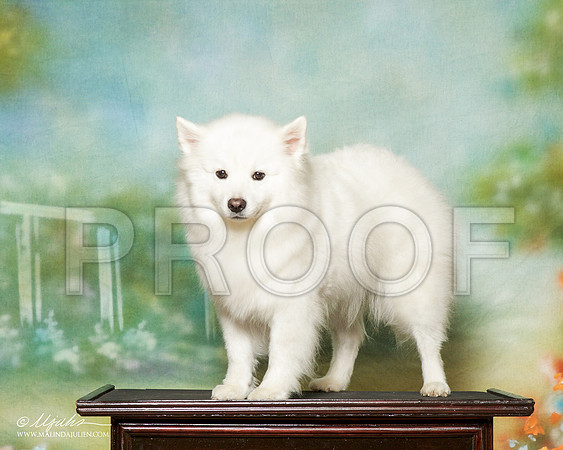 _R1_2254-NrmnApr2016-HR3
