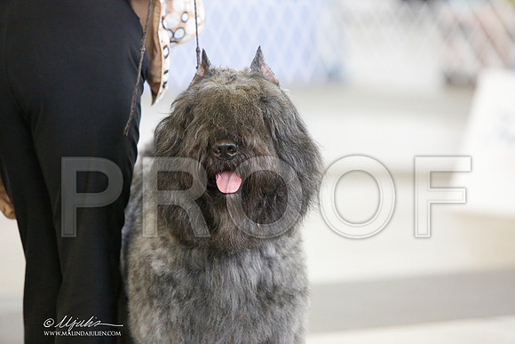 _JJ_2987-DallasJul2014-HR3