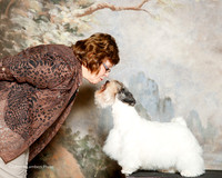 Sealyham Terrier #5 Fri Custom Dunlap Barbara and Royal