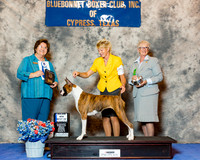 Boxer #10 Wed Maj bOW Kelly Susan Judge Keke Kahn