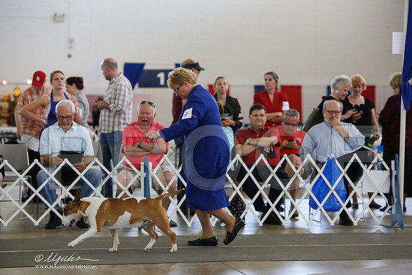 _JJ_2013-DallasJul2014-HR3