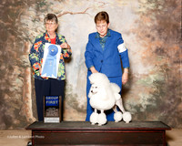 Poodle Miniature #6 Sun G1 Neal Joann Judge Doris Cozart