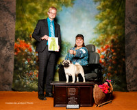 Pug #7 Sun OH RBIS Ratliff Kristy and Kevin Judge Troy Dargin