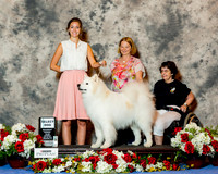 Samoyed #11 Sat SD Barbe Pamela A Judge Dr Steve Keating