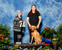 Labrador retirever #R87 Sun NT Benton David Judge Ronnie Bizer