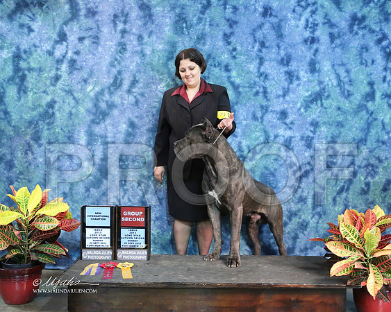 Cane-1404-IABCAFWSpt13-HR