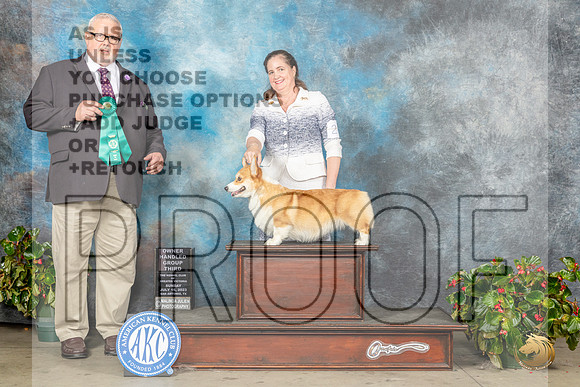 Pembroke Welsh Corgi #26 Sun OHG3 Judge David KirklandMJP_0416_SA2023_HR3