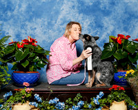 Australian Cattle dog #? sun Custom