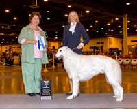 Borzois #11 Thrs Maj BOW Helper Anastasia Judge Ms Nikki Riggsbee