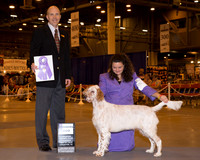 English Setter #7 Thrs WD Hunt Melissa N Judge Mr Larry C Abbott