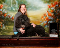 Poodle Standard #O27 Sun NT Pre Novice Misty reed