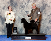Portuguese Water Dog #18 Wed G3 Mercier Beth and Margaret De Fore Agent Favre Judge Linda Clark