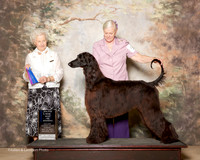 Afghan Hound #7 Sun Maj BOW James Hicks and Lynda and Sue Virgo Judge Paula Hartinger