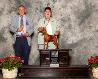 Miniature Pinscher #5 SAt BOB Tater Darlene Teter Judge Desmond Murphy