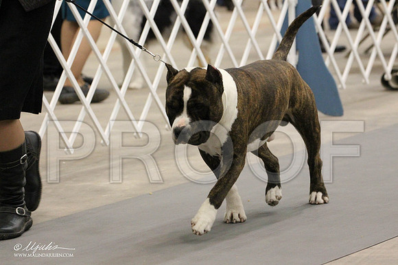 IMG_8044-Abilene2011-HR3