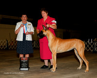 Great Dane #14 Fri BOS Kerr Julia and Chris Judge Cindy Meyer