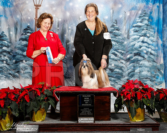 _ST_8566-2-DallasDec2014-HR3