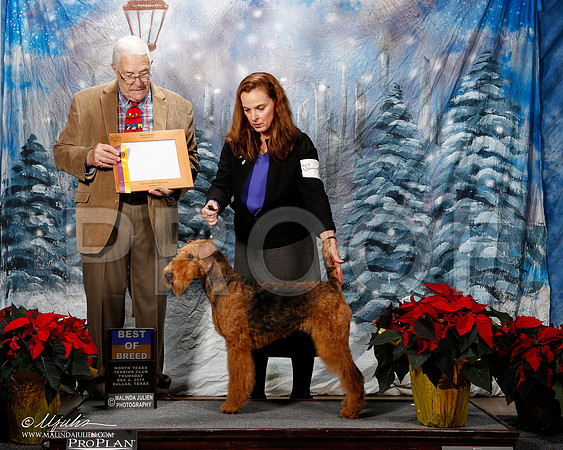 _ST_8007-2-DallasDec2014-HR3