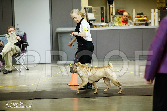 _JJ_5785-BeltonJan2015IABCA-HR3