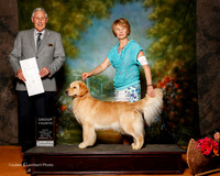 Golden Retriever #6 Sat G4 Curran Shari and Haley Judge Brian Meyer