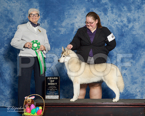 _R1_8294-HuskySltyMar2016-HR3