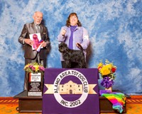 Affenpinschers #8 Sun BOS NC Ferris Linda M Judge Dr Roger S Pritchard