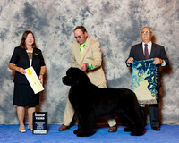 Newfoundland #21 wed G3 Wortham Kathleen Agent Kim Griffith Judge Marion Kidd