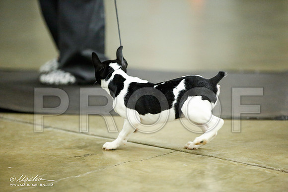 _JJ_5955-BeltonJan2015IABCA-HR3