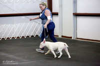White 6-9 Dog Sat Ring