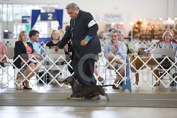 _JJ_2919-DallasJul2014-HR3