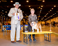 Bulldog #21 Thrs BOB Patin Julie & Rosemary Jenner Judge Mr Arley D Hussin