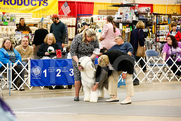 _RH_2224-AddisonHuskyMar2015-HR3
