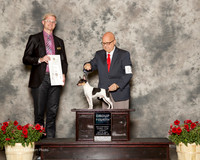 Toy Fox Terrier #11 Sun G4 Bellamy Eugene Jr Judge Troy Dargin