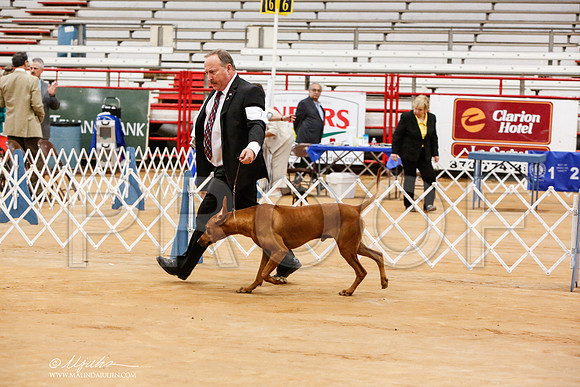 _JN_6388-TxArJun2014-HR3