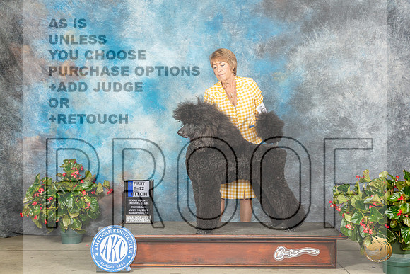 Poodle Std #6 Thur 1st Judge Helene NietschMJP_7346_SA2023_HR3