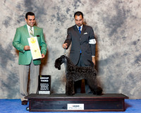 Kerry Blue Terrier #8 Wed G3 Fletcher Doreen Agent Alfonso Escobedo Judge Joao Machado