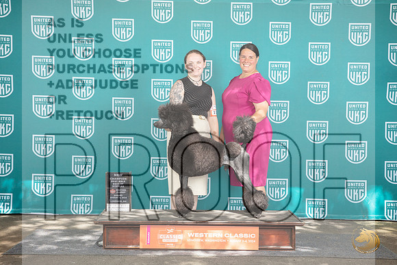 Poodle Standard #113 Sun NCh BOW Judge Kevin Carroll__JP_1774_Longview WA_2024_HR3