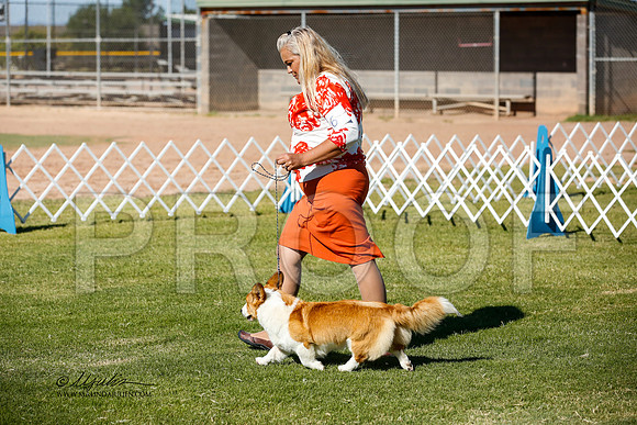 _JJ_2549-AlamogordoOct2014-HR3