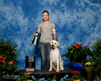Labrador Retriever #R93 Sun NT Phillips Mrs LaRena and LaKayla and Kylee Philips