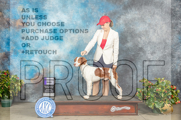 Brittany #5 Sat WD Judge Jay RichardsonMJP_9560_SA2023_HR3