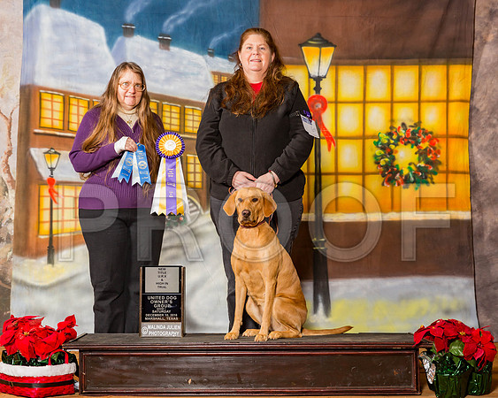 _ST_1582-MrshllDec2016©JulienLambertPhoto.com-HR3