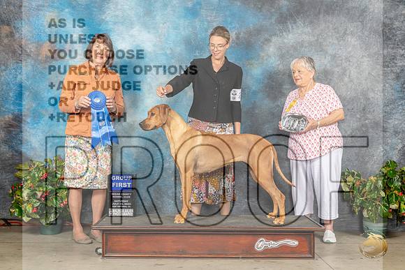 Rhodesian Ridgeback #22 Sat G1 Judge Helene NietschMJP_9340_SA2023_HR3