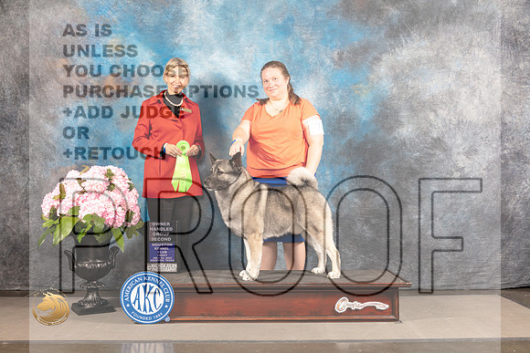 Norwegian Elkhound #7 FRI OH2nd Judge Patricia Sosa_MJ_5845_Houston_2022_HR3