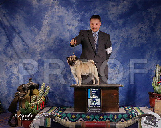 pug-3689-GRJan14-HR