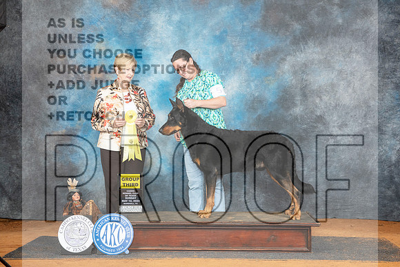 Beauceron #5 Sun G3 Judge Karen Hynek__JP_8686_MARSHALL_2024_HR3