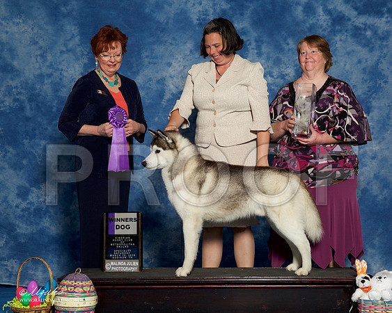 _R1_8210-HuskySltyMar2016-HR3
