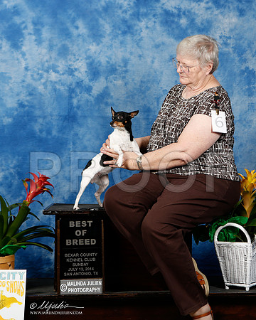 _ST_7672-2-SAJul2014-HR3