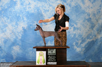 Xoloitzcuintli Sat Best in Match Kayla
